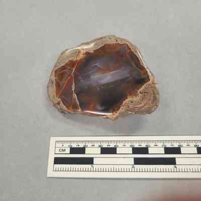 Thunderegg
