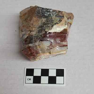 Opalized Jasper