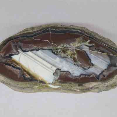 Thunderegg