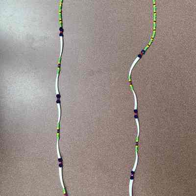 Shell Necklace