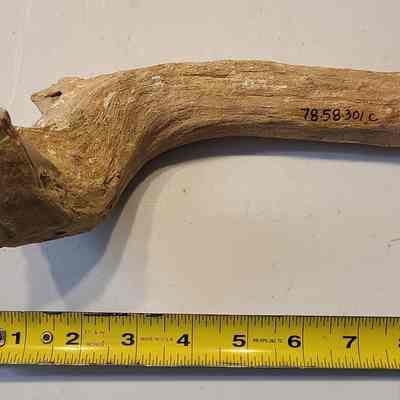 Limb cast