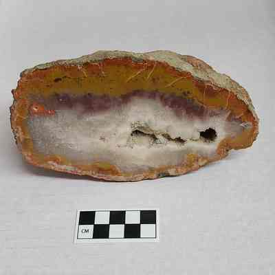 Yellow Cat Agate