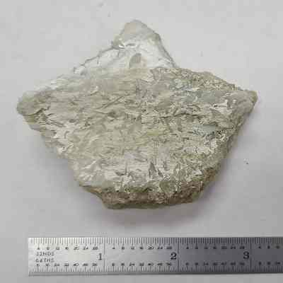 Colemanite