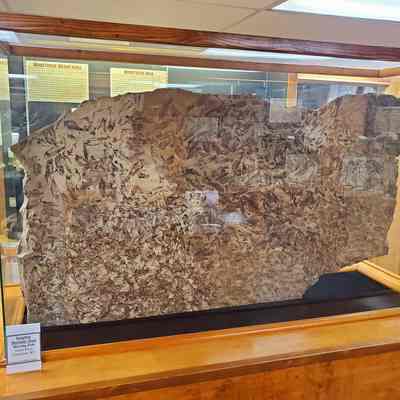 Knightdale Mortality Plate