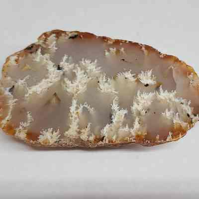 Dendritic Agate