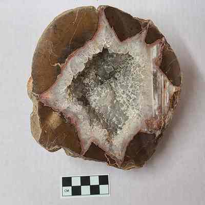 Thunderegg