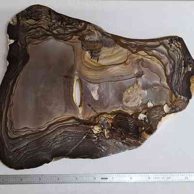 Biggs Jasper