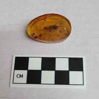 Amber