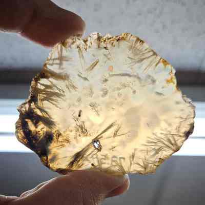 Sagenite Agate