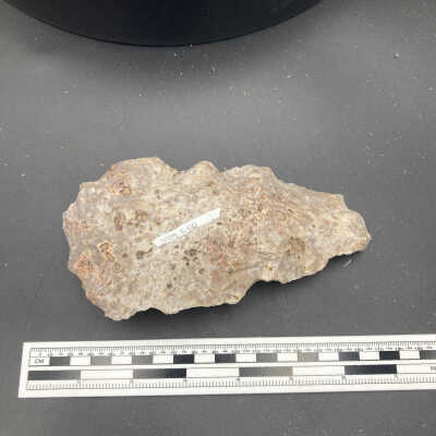 Back of object