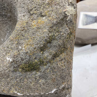 Lichen growth