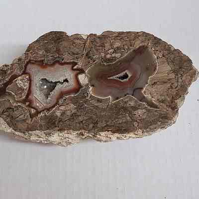 Thunderegg New Mexico