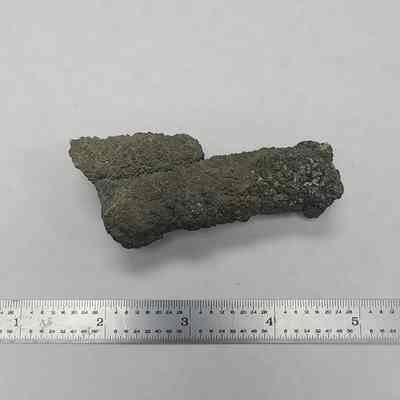 Marcatized Coral