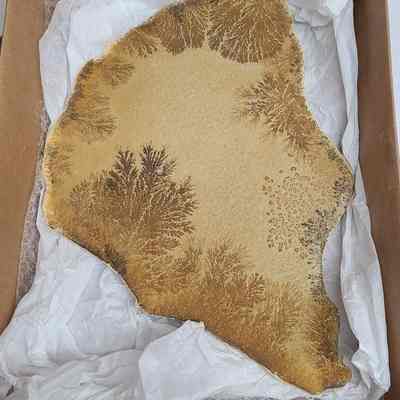 Dendritic Sedimentary Plate