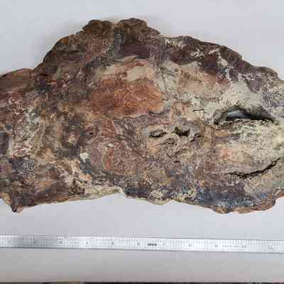 Reverse side