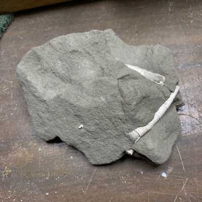 Rock