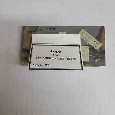 This image shows a labeled sample of jasper from Zimmerman Ranch, Oregon, with several pieces of masking tape affixed to the reverse side