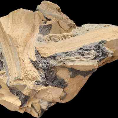 Folded Basalt in Sandstone