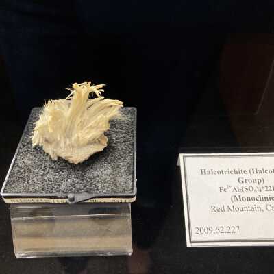 Halotrichite