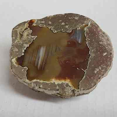 Thunderegg