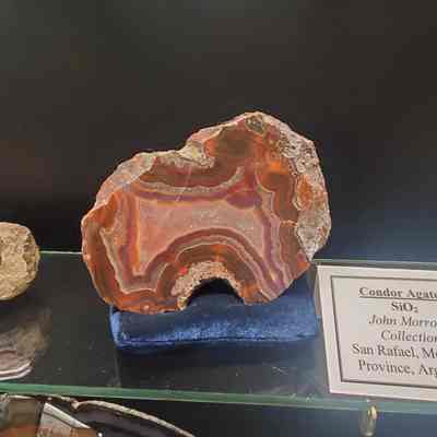 Condor Agate