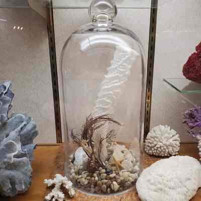 Venus Flower Basket