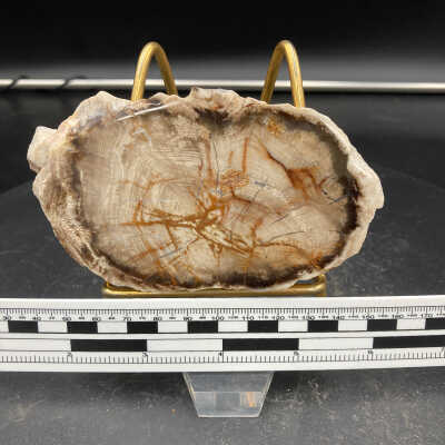 Douglas Fir?