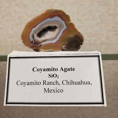 Coyamito Agate