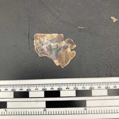 Biotite Mica
