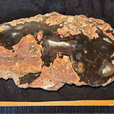 Thunderegg
