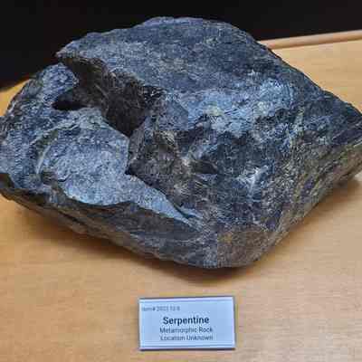Serpentine