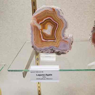 Item is same accession number but labeled Laguna Agate.
