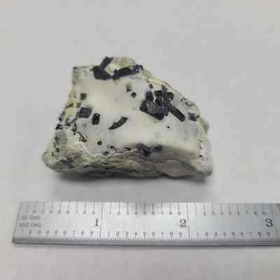 Neptunite?