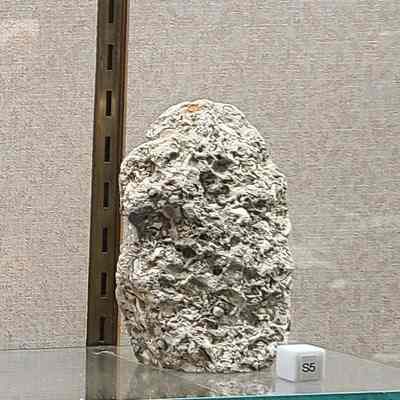 Siltstone