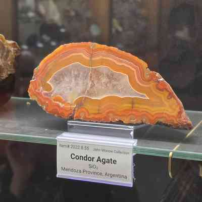 Condor Agate