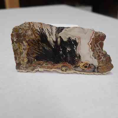 Plume Agate