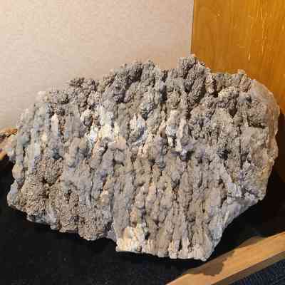 Angel Wing Agate