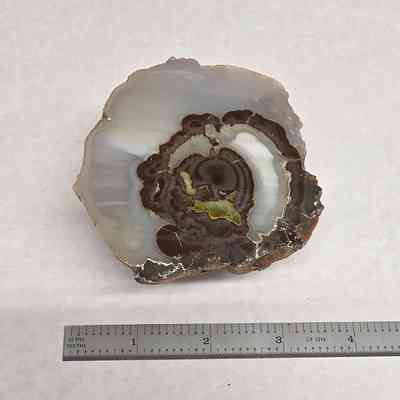 Thunderegg