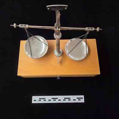 Portable Scale