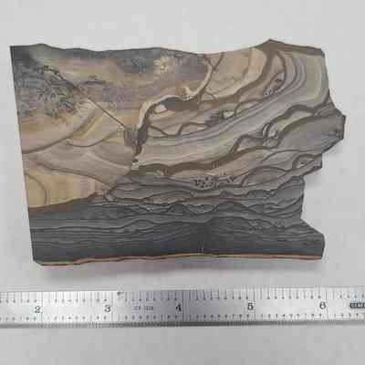 Dendritic Biggs Jasper