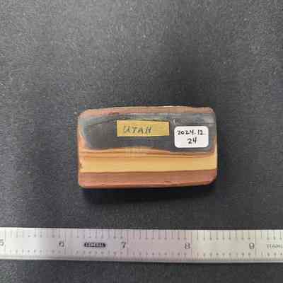 Piece of masking tape with "Utah" affixed to the reverse- likely provenance
