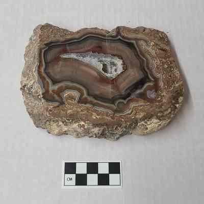 Thunderegg New Mexico