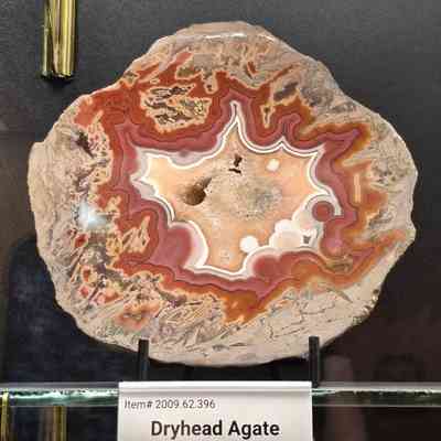 Dryhead Agate