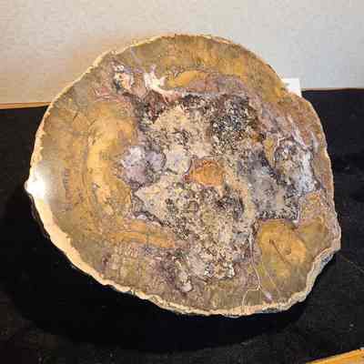 Thunderegg