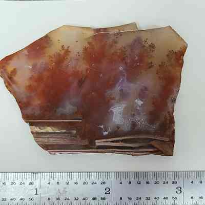 Carey Plume Agate