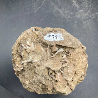 Back of object