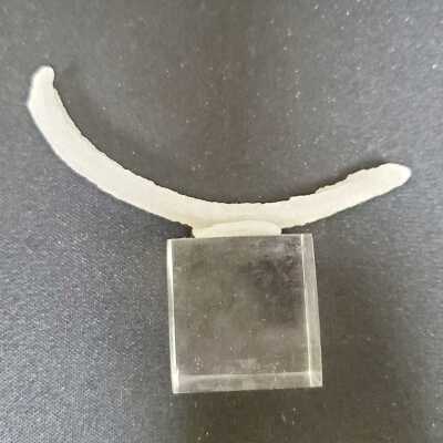 Curved Selenite