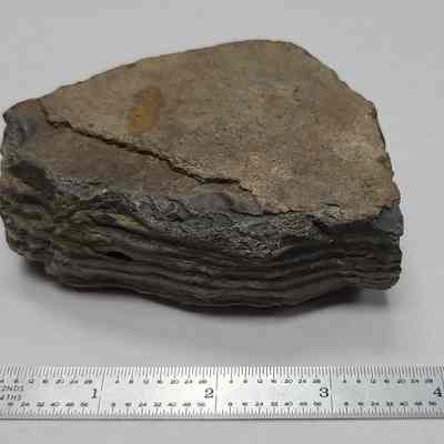 Polish Flint