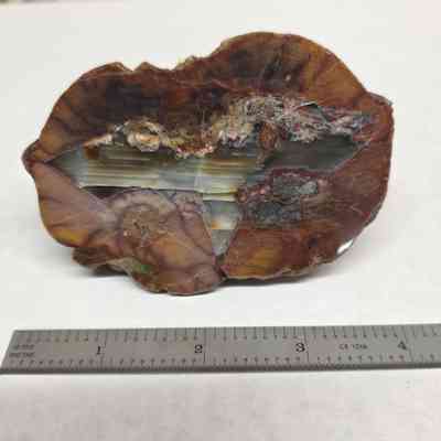 Thunderegg