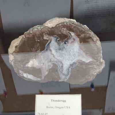 Thunderegg